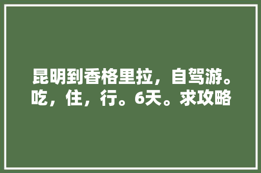 昆明到香格里拉，自驾游。吃，住，行。6天。求攻略。谢谢。一个人「云南旅游团观光旅游攻略图」 昆明到香格里拉，自驾游。吃，住，行。6天。求攻略。谢谢。一个人「云南旅游团观光旅游攻略图」 汽车常识