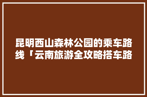 昆明西山森林公园的乘车路线「云南旅游全攻略搭车路线图」 昆明西山森林公园的乘车路线「云南旅游全攻略搭车路线图」 健康母婴