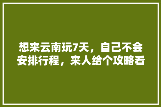 想来云南玩7天，自己不会安排行程，来人给个攻略看下吧「云南旅游攻略行程轨迹查询」 想来云南玩7天，自己不会安排行程，来人给个攻略看下吧「云南旅游攻略行程轨迹查询」 汽车常识