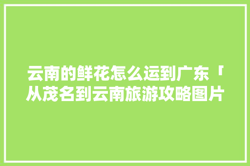 云南的鲜花怎么运到广东「从茂名到云南旅游攻略图片」 云南的鲜花怎么运到广东「从茂名到云南旅游攻略图片」 时尚穿搭