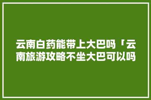 云南白药能带上大巴吗「云南旅游攻略不坐大巴可以吗」 云南白药能带上大巴吗「云南旅游攻略不坐大巴可以吗」 美食菜谱