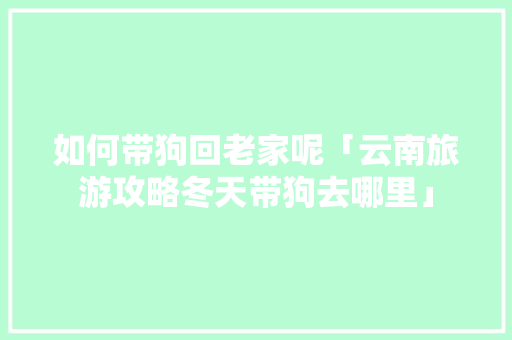 如何带狗回老家呢「云南旅游攻略冬天带狗去哪里」 如何带狗回老家呢「云南旅游攻略冬天带狗去哪里」 汽车常识