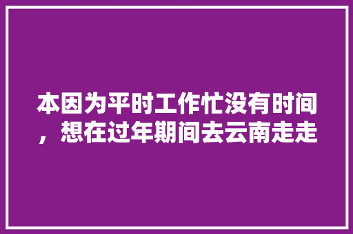 本因为平时工作忙没有时间，想在过年期间去云南走走，不知道春节期间去云南玩合适吗「1月组团去云南旅游攻略」 本因为平时工作忙没有时间，想在过年期间去云南走走，不知道春节期间去云南玩合适吗「1月组团去云南旅游攻略」 时尚穿搭