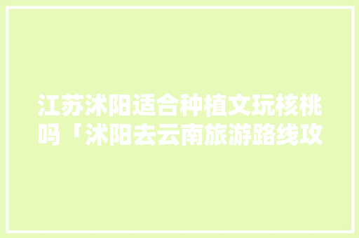 江苏沭阳适合种植文玩核桃吗「沭阳去云南旅游路线攻略图」 江苏沭阳适合种植文玩核桃吗「沭阳去云南旅游路线攻略图」 手机电脑