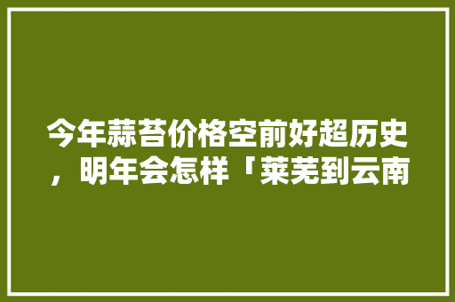 今年蒜苔价格空前好超历史，明年会怎样「莱芜到云南旅游攻略路线」 今年蒜苔价格空前好超历史，明年会怎样「莱芜到云南旅游攻略路线」 健康母婴