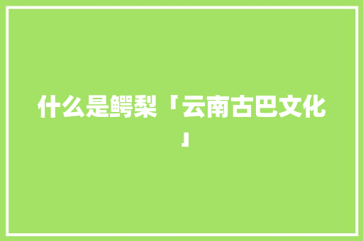 什么是鳄梨「云南古巴文化」 什么是鳄梨「云南古巴文化」 汽车常识