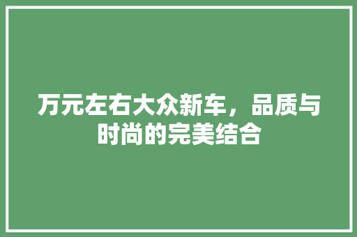万元左右大众新车，品质与时尚的完美结合 万元左右大众新车，品质与时尚的完美结合 汽车常识