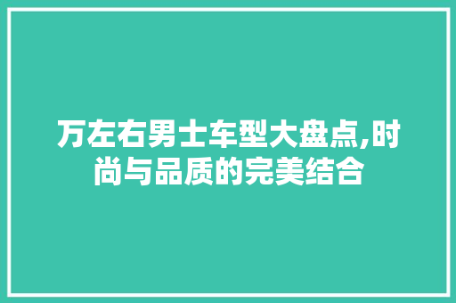 万左右男士车型大盘点,时尚与品质的完美结合 万左右男士车型大盘点,时尚与品质的完美结合 汽车常识