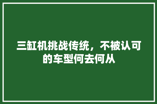 三缸机挑战传统，不被认可的车型何去何从 三缸机挑战传统，不被认可的车型何去何从 汽车常识