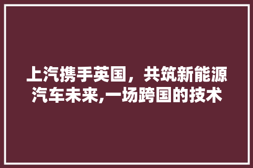 上汽携手英国，共筑新能源汽车未来,一场跨国的技术融合之旅 上汽携手英国，共筑新能源汽车未来,一场跨国的技术融合之旅 汽车常识