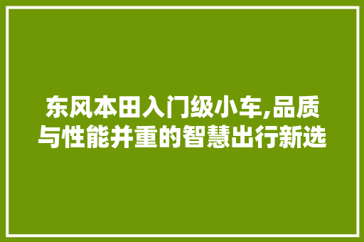东风本田入门级小车,品质与性能并重的智慧出行新选择 东风本田入门级小车,品质与性能并重的智慧出行新选择 汽车常识