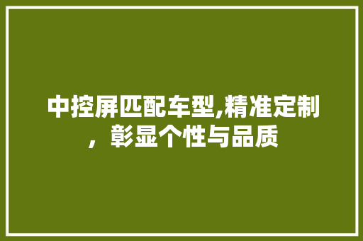 中控屏匹配车型,精准定制，彰显个性与品质 中控屏匹配车型,精准定制，彰显个性与品质 汽车常识