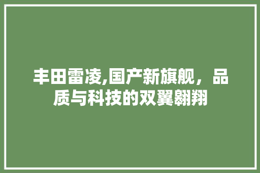 丰田雷凌,国产新旗舰，品质与科技的双翼翱翔 丰田雷凌,国产新旗舰，品质与科技的双翼翱翔 汽车常识