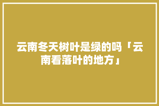 云南冬天树叶是绿的吗「云南看落叶的地方」 云南冬天树叶是绿的吗「云南看落叶的地方」 汽车常识