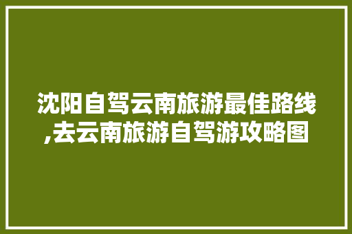 沈阳自驾云南旅游最佳路线,去云南旅游自驾游攻略图片 沈阳自驾云南旅游最佳路线,去云南旅游自驾游攻略图片 时尚穿搭