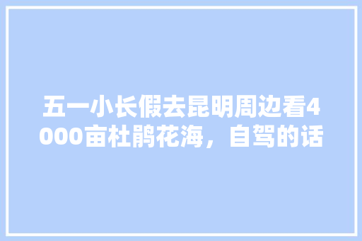 五一小长假去昆明周边看4000亩杜鹃花海，自驾的话怎么去,四五月份云南旅游攻略大全 五一小长假去昆明周边看4000亩杜鹃花海，自驾的话怎么去,四五月份云南旅游攻略大全 健康母婴