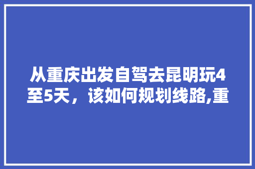 从重庆出发自驾去昆明玩4至5天，该如何规划线路,重庆到云南旅游攻略六天多少钱 从重庆出发自驾去昆明玩4至5天，该如何规划线路,重庆到云南旅游攻略六天多少钱 汽车常识
