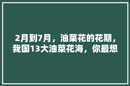 2月到7月，油菜花的花期，我国13大油菜花海，你最想去哪个「洋县到云南旅游路线攻略图」 2月到7月，油菜花的花期，我国13大油菜花海，你最想去哪个「洋县到云南旅游路线攻略图」 手机电脑