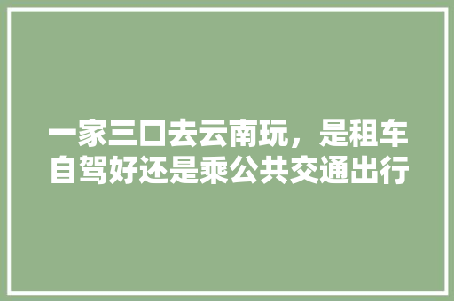 一家三口去云南玩，是租车自驾好还是乘公共交通出行好「云南旅游不租车攻略图」 一家三口去云南玩，是租车自驾好还是乘公共交通出行好「云南旅游不租车攻略图」 手机电脑