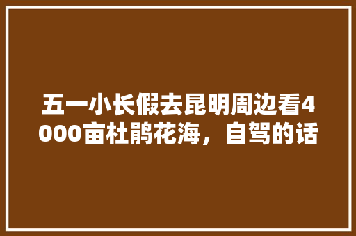 五一小长假去昆明周边看4000亩杜鹃花海，自驾的话怎么去「云南五一假期旅游攻略」 五一小长假去昆明周边看4000亩杜鹃花海，自驾的话怎么去「云南五一假期旅游攻略」 时尚穿搭