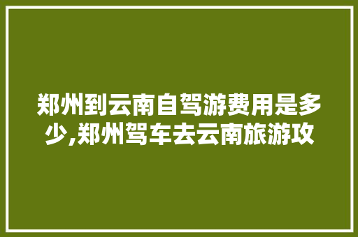 郑州到云南自驾游费用是多少,郑州驾车去云南旅游攻略路线 郑州到云南自驾游费用是多少,郑州驾车去云南旅游攻略路线 时尚穿搭