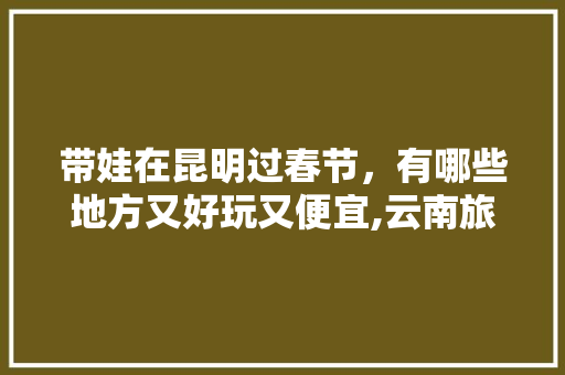 带娃在昆明过春节，有哪些地方又好玩又便宜,云南旅游攻略景点大全自驾游 带娃在昆明过春节，有哪些地方又好玩又便宜,云南旅游攻略景点大全自驾游 旅游攻略