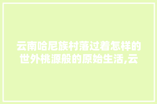 云南哈尼族村落过着怎样的世外桃源般的原始生活,云南漫游旅行 云南哈尼族村落过着怎样的世外桃源般的原始生活,云南漫游旅行 汽车常识