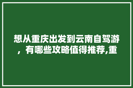 想从重庆出发到云南自驾游，有哪些攻略值得推荐,重庆回云南旅游攻略路线 想从重庆出发到云南自驾游，有哪些攻略值得推荐,重庆回云南旅游攻略路线 教育法律