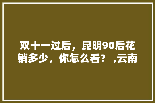 双十一过后，昆明90后花销多少，你怎么看？ ,云南旅游攻略11月花费多少钱 双十一过后，昆明90后花销多少，你怎么看？ ,云南旅游攻略11月花费多少钱 手机电脑