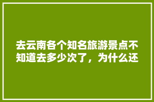 去云南各个知名旅游景点不知道去多少次了，为什么还是想去,2020超实用的云南旅游攻略