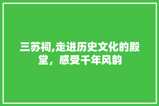 三苏祠,走进历史文化的殿堂，感受千年风韵 旅游攻略