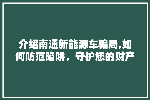介绍南通新能源车骗局,如何防范陷阱，守护您的财产安全 手机电脑