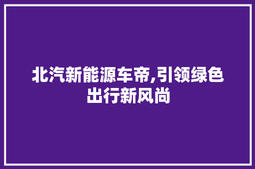 北汽新能源车帝,引领绿色出行新风尚