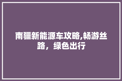 南疆新能源车攻略,畅游丝路，绿色出行 健康母婴