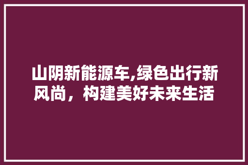 山阴新能源车,绿色出行新风尚，构建美好未来生活 旅游攻略