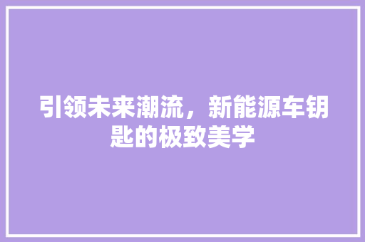 引领未来潮流，新能源车钥匙的极致美学