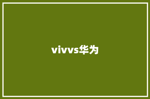vivvs华为 手机电脑