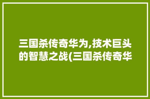 三国杀传奇华为,技术巨头的智慧之战(三国杀传奇华为) 手机电脑