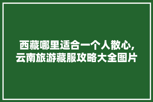 西藏哪里适合一个人散心,云南旅游藏服攻略大全图片 西藏哪里适合一个人散心,云南旅游藏服攻略大全图片 旅游攻略