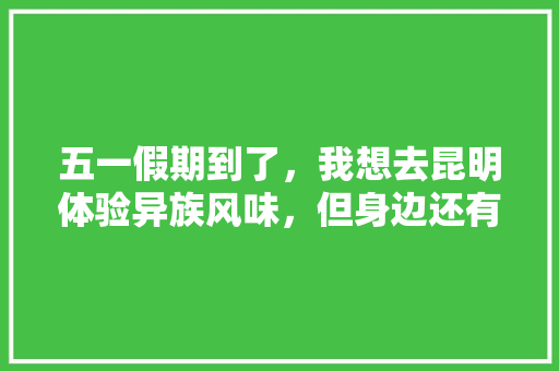 五一假期到了，我想去昆明体验异族风味，但身边还有位老人，我如何安排呢,老年人去云南旅游线路 五一假期到了，我想去昆明体验异族风味，但身边还有位老人，我如何安排呢,老年人去云南旅游线路 手机电脑