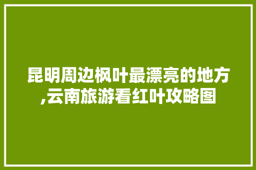 昆明周边枫叶最漂亮的地方,云南旅游看红叶攻略图 昆明周边枫叶最漂亮的地方,云南旅游看红叶攻略图 美食菜谱