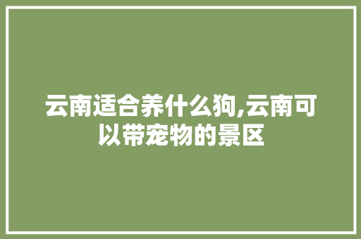 云南适合养什么狗,云南可以带宠物的景区 云南适合养什么狗,云南可以带宠物的景区 手机电脑