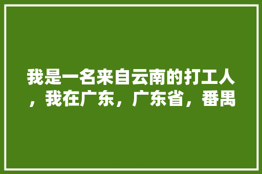 我是一名来自云南的打工人，我在广东，广东省，番禺，南沙区。大岗镇，振兴路，58号。中南集团，昶联,番禺到云南旅游攻略路线图 我是一名来自云南的打工人，我在广东，广东省，番禺，南沙区。大岗镇，振兴路，58号。中南集团，昶联,番禺到云南旅游攻略路线图 旅游攻略