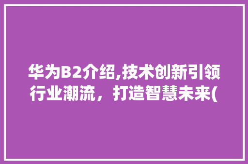 华为B2介绍,技术创新引领行业潮流，打造智慧未来(华为b2 介绍) 手机电脑