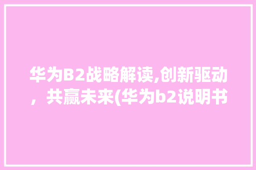 华为B2战略解读,创新驱动，共赢未来(华为b2说明书) 手机电脑
