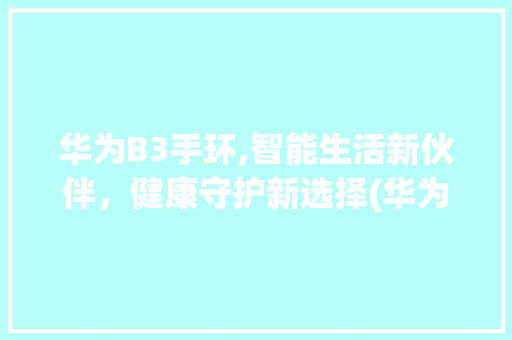 华为B3手环,智能生活新伙伴，健康守护新选择(华为B3手环带) 手机电脑
