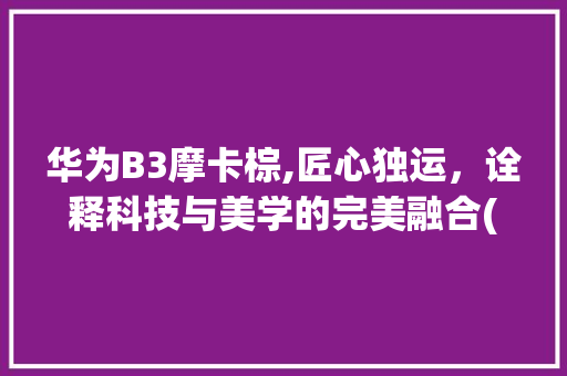 华为B3摩卡棕,匠心独运，诠释科技与美学的完美融合(华为b3摩卡棕) 手机电脑
