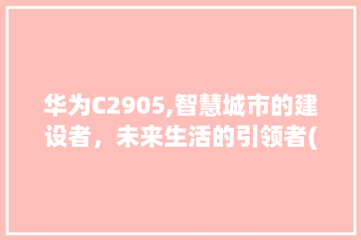 华为C2905,智慧城市的建设者，未来生活的引领者(华为C2905) 手机电脑