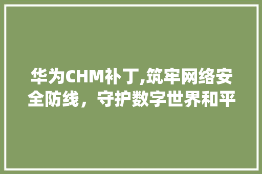 华为CHM补丁,筑牢网络安全防线，守护数字世界和平(华为CHM补丁) 手机电脑