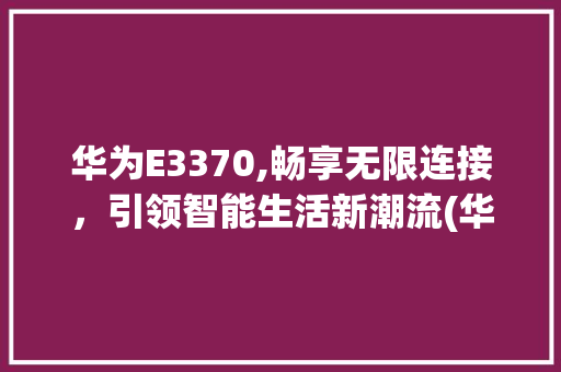 华为E3370,畅享无限连接，引领智能生活新潮流(华为E3370) 手机电脑